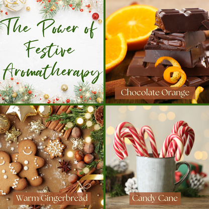 Flavours of Christmas Body Scrub Bundle